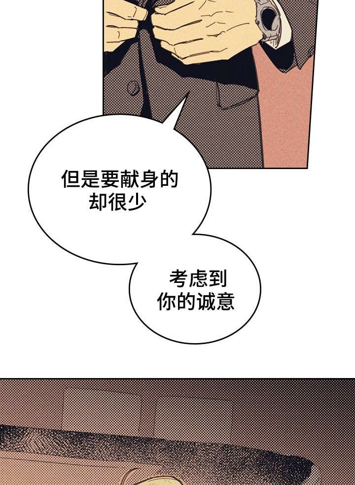 第13章：献身