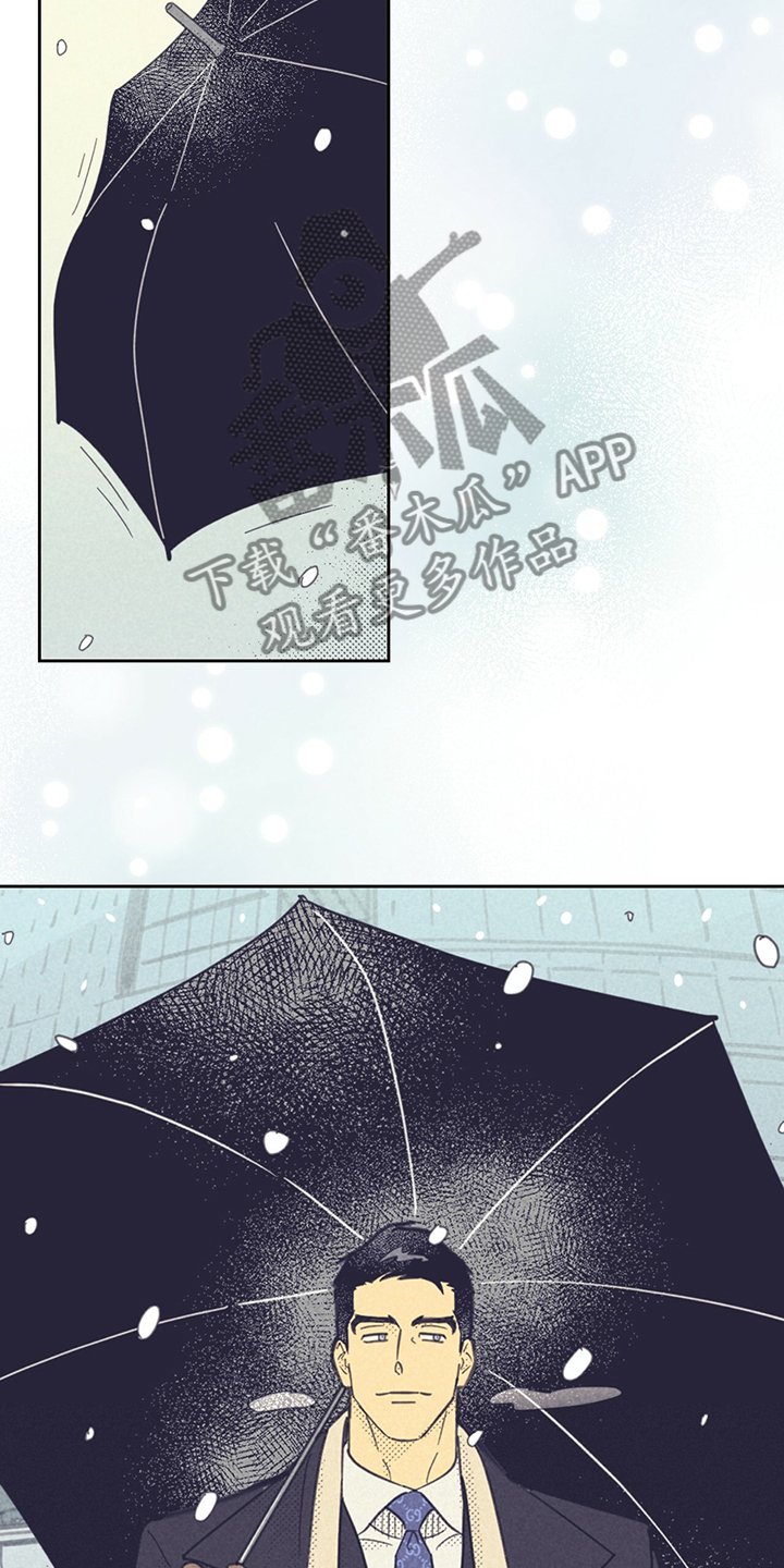 第151章：【第三季完结】回美国吧