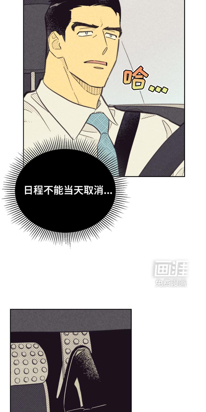 第203章：【第五季】特别活动