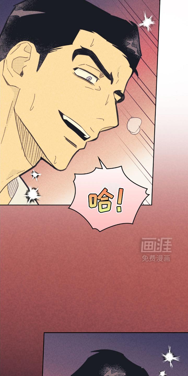 第203章：【第五季】特别活动