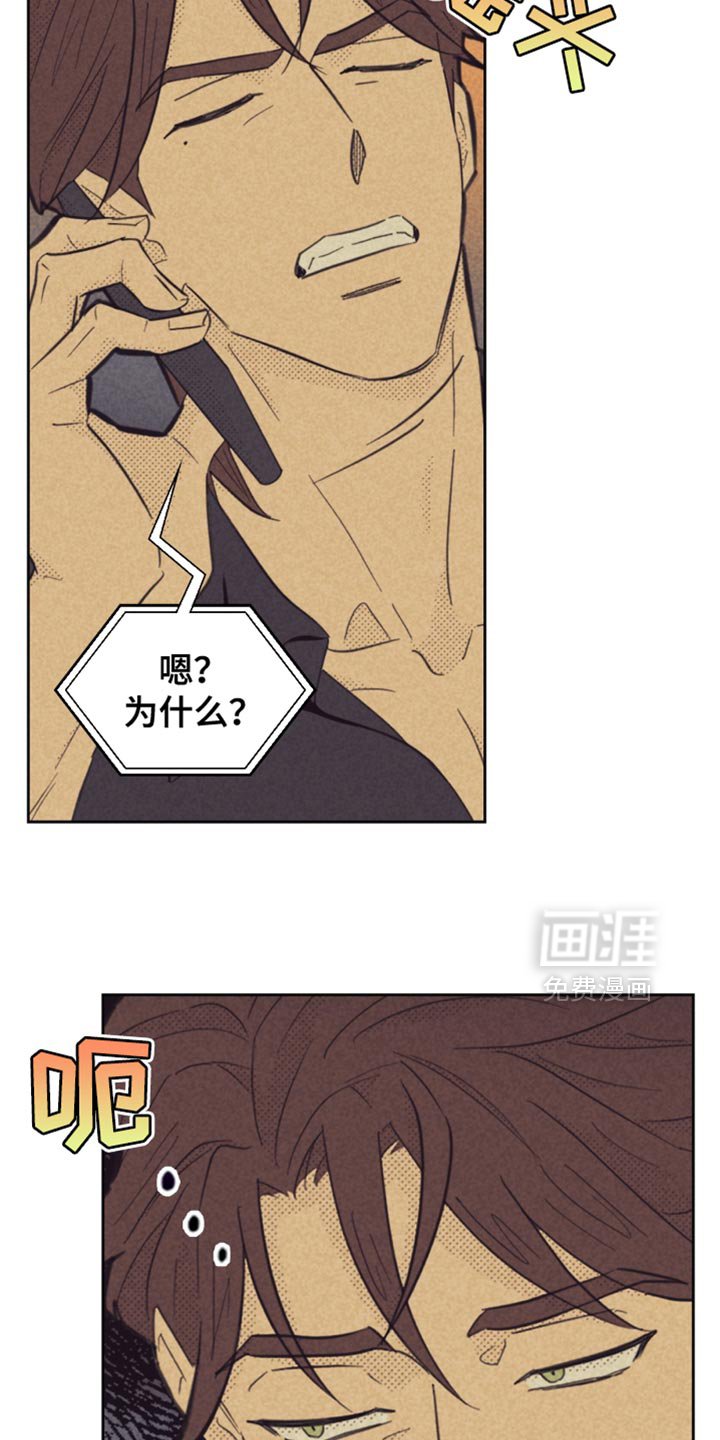 第205章：【第五季】我会尽快结束这件事