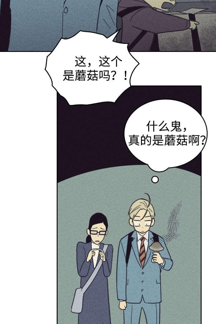 第28章：更新装备