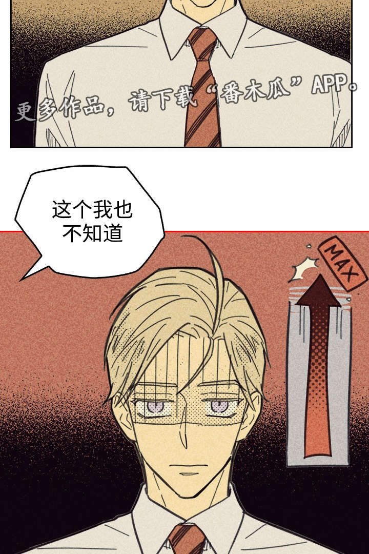 第29章：灯泡