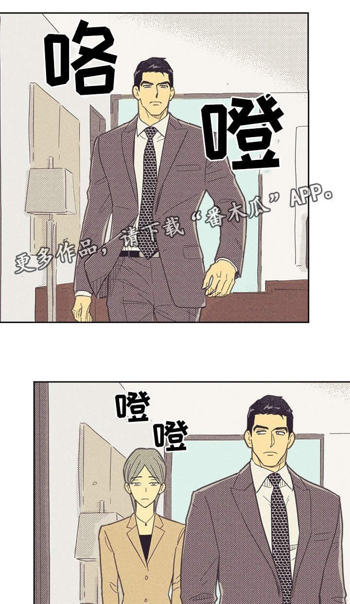 第34章：普洱茶