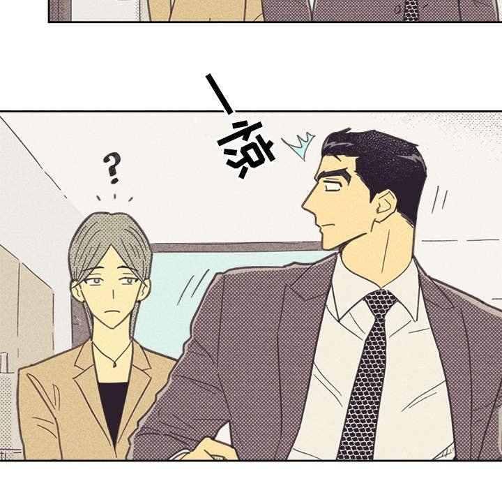 第34章：普洱茶