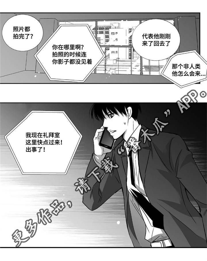 第12章：眼神孤独