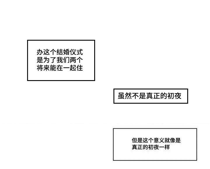 第14章：有妇之夫