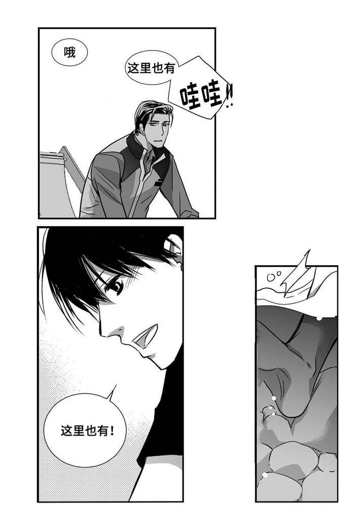 第29章：关系很好