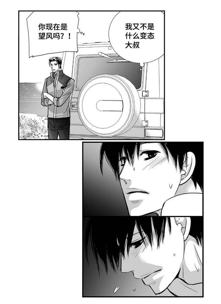 第29章：关系很好