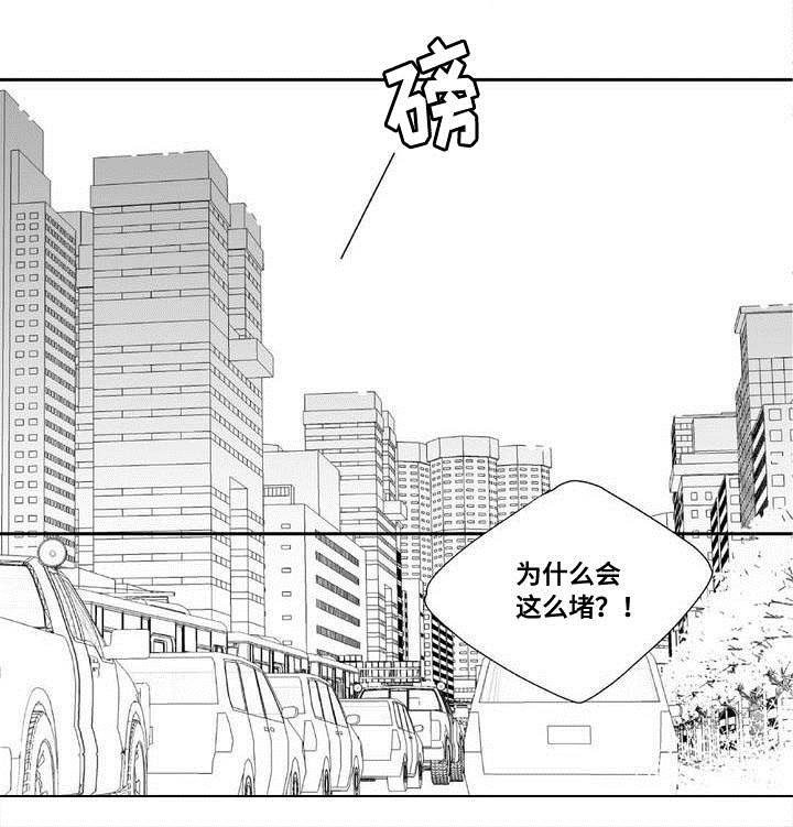第3章：新任代理