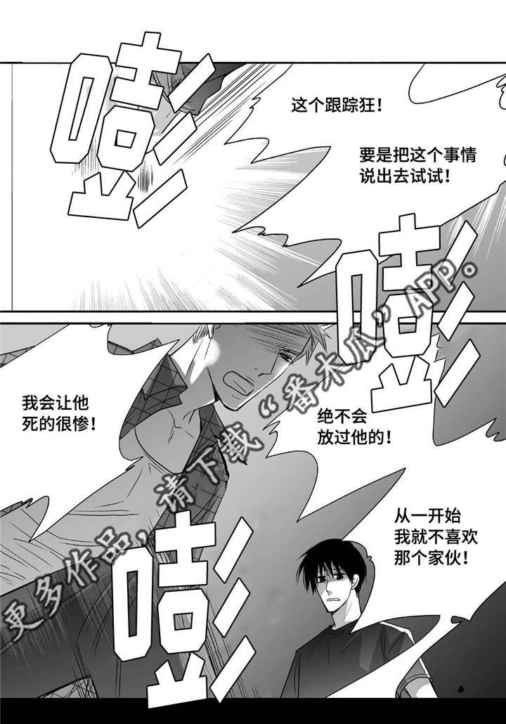 第44章：实话实说