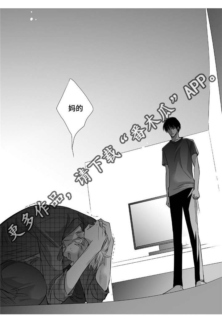 第44章：实话实说