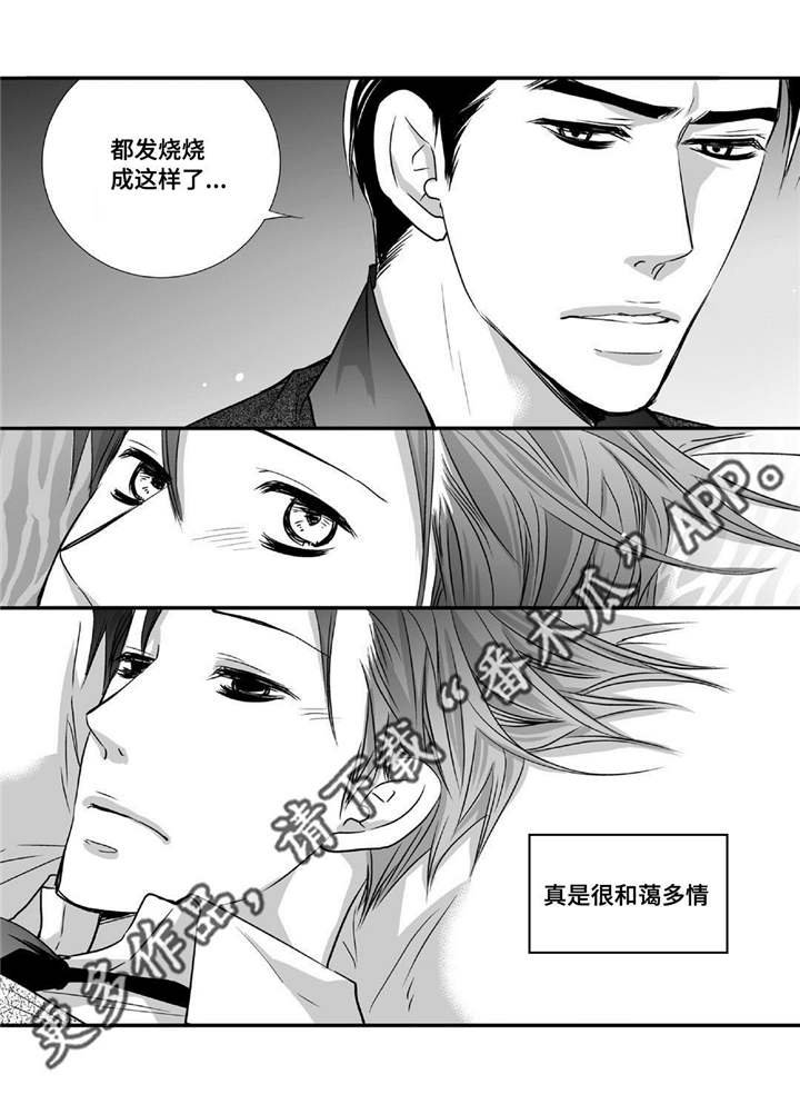 第54章：他的关心