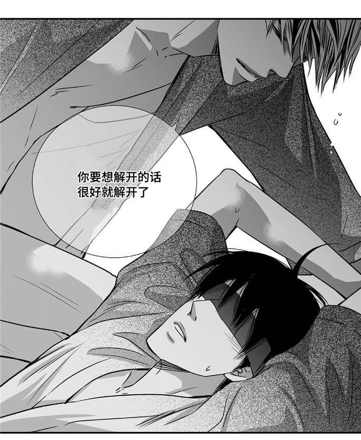 第66章：在期待吗