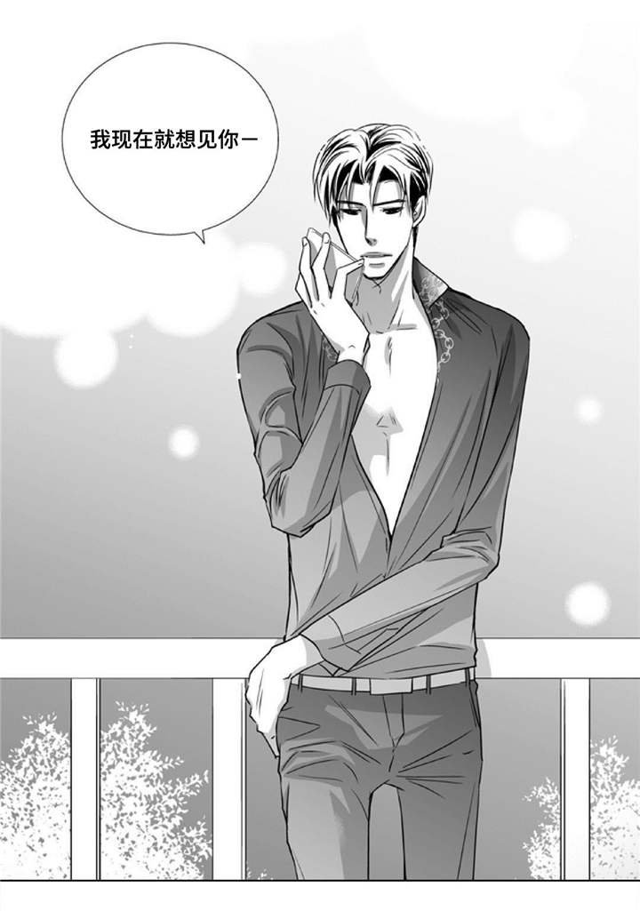 第81章：好想见你