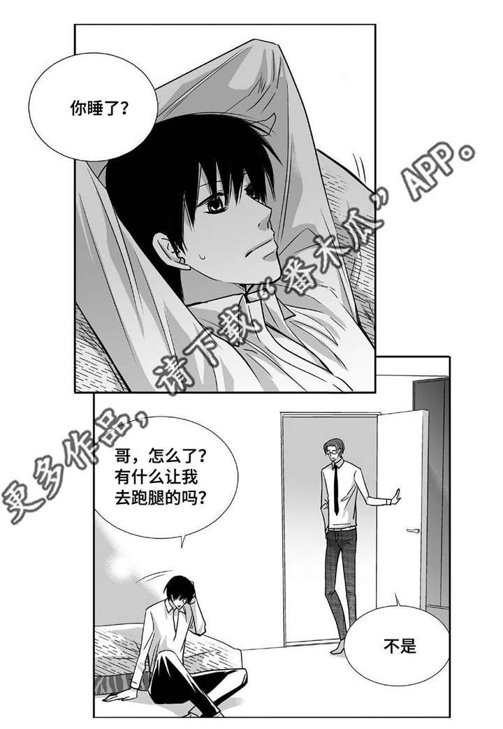 第91章：只是伴侣