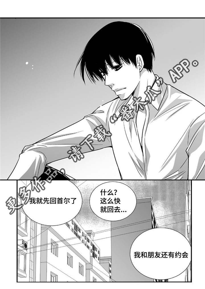 第91章：只是伴侣