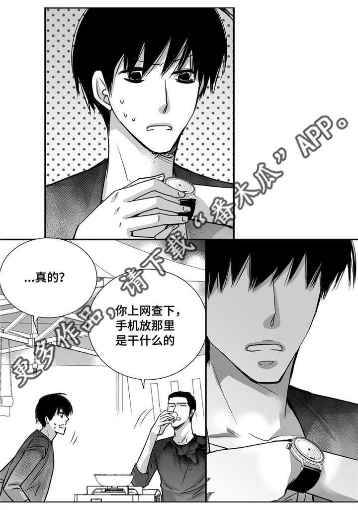 第91章：只是伴侣
