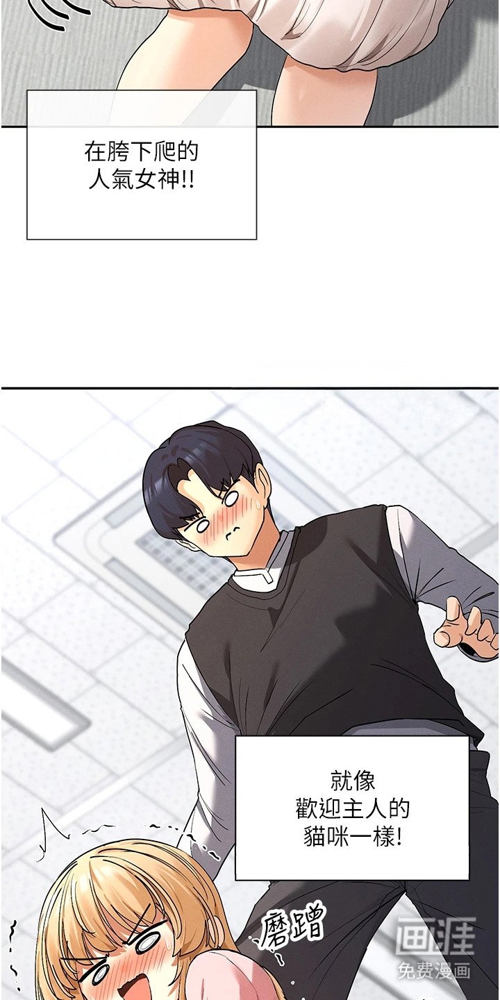 第14章：扮猫咪