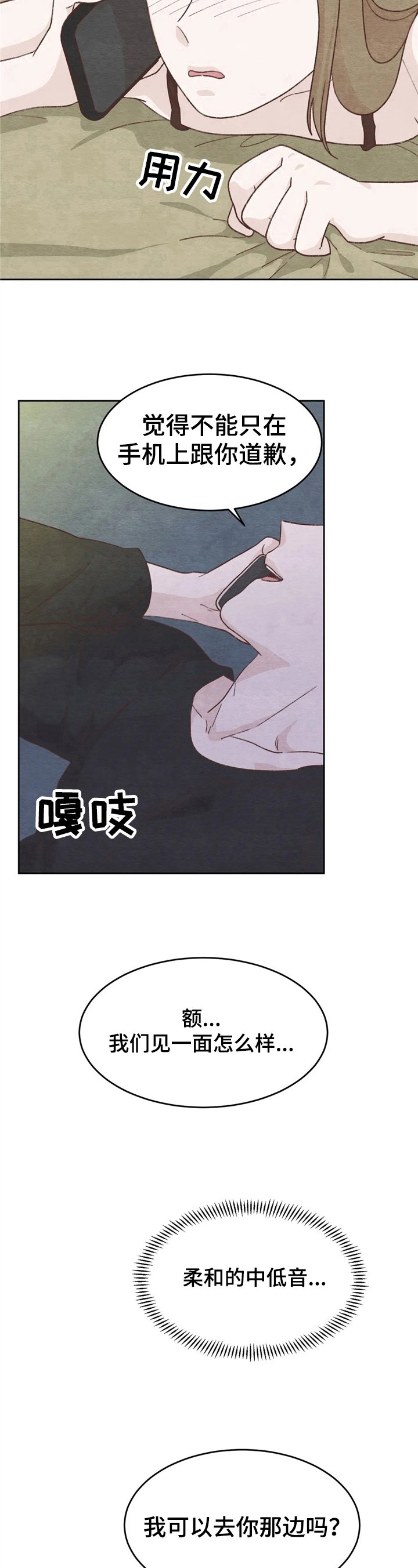 第19章：电话
