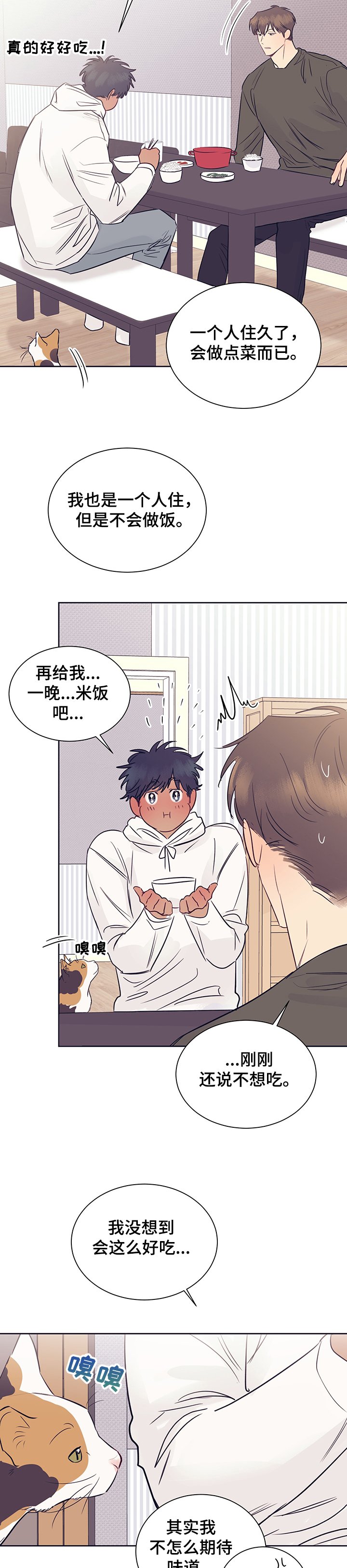 第36章：被猫抓了