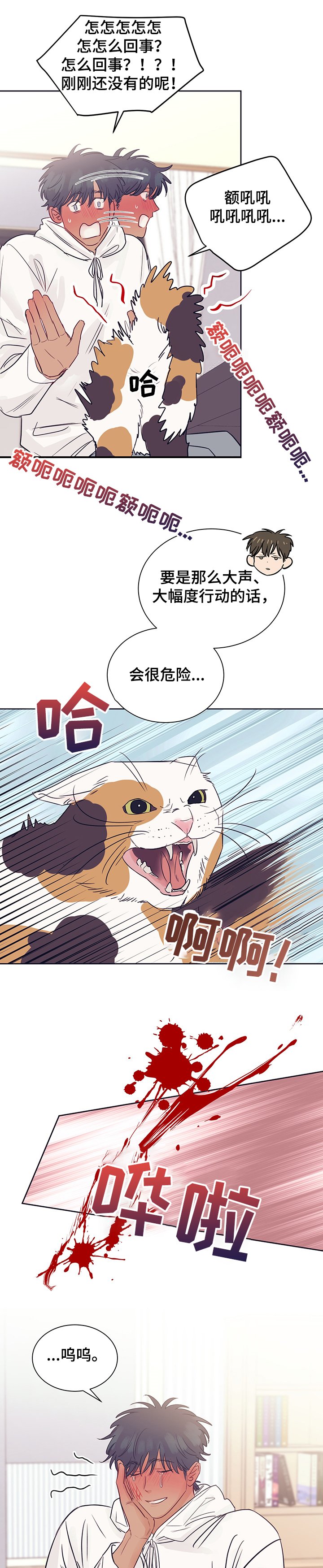 第36章：被猫抓了
