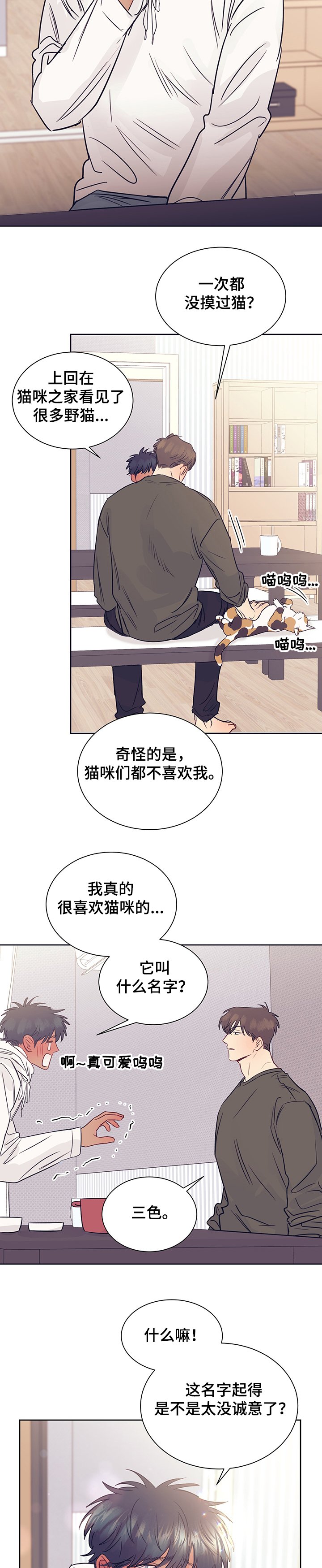第36章：被猫抓了
