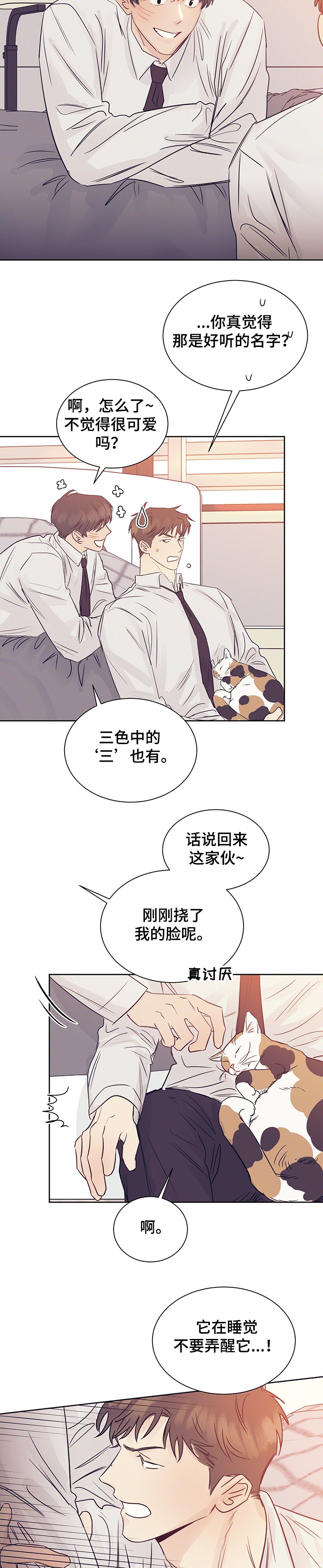 第36章：被猫抓了
