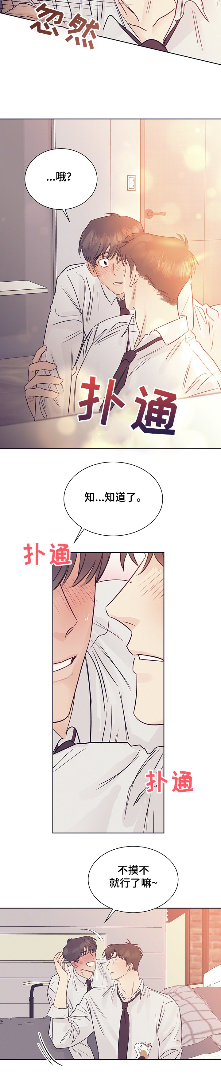 第36章：被猫抓了