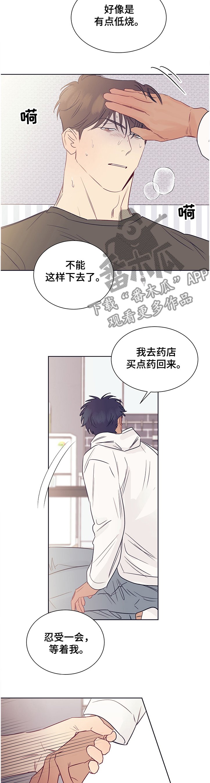 第38章：不会再出现