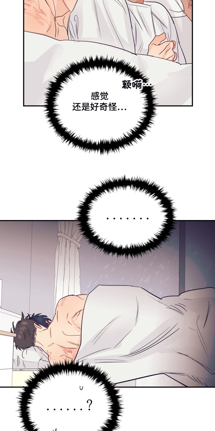 第60章：【完结】未知的未来