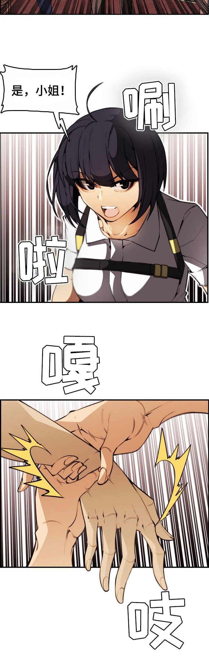 第19章：保镖