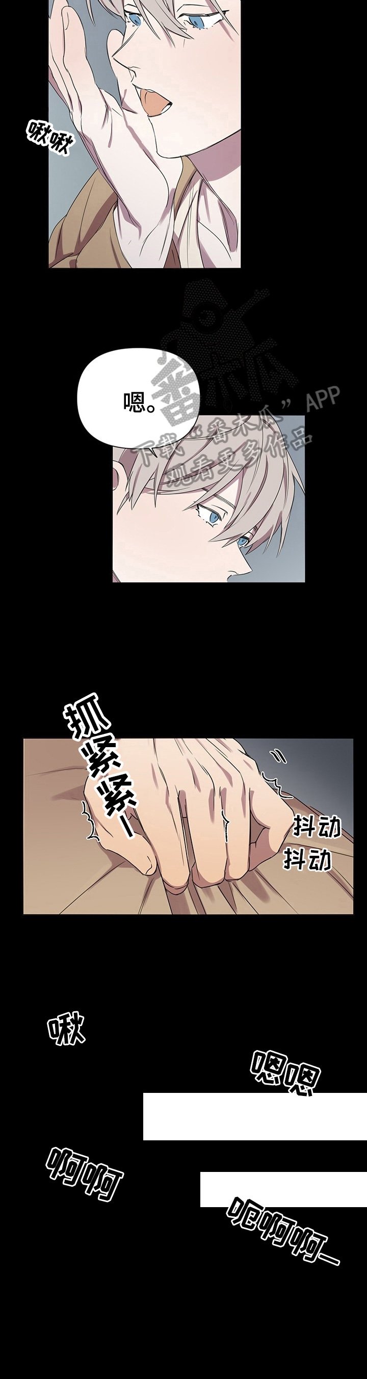 第4章：感觉
