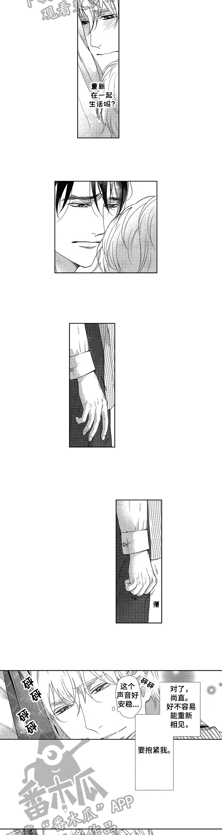 第13章：否认