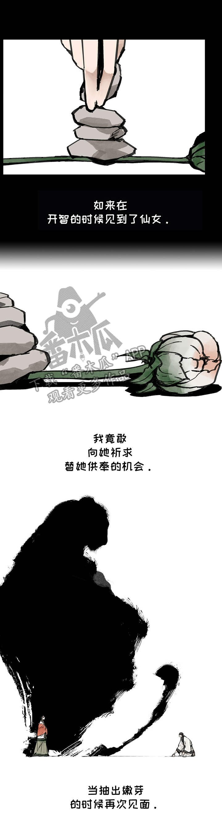 第24章：追随