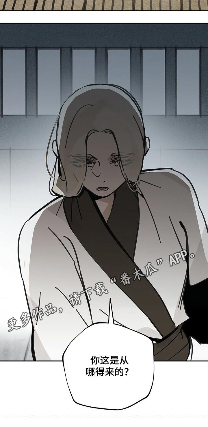第79章：饰品