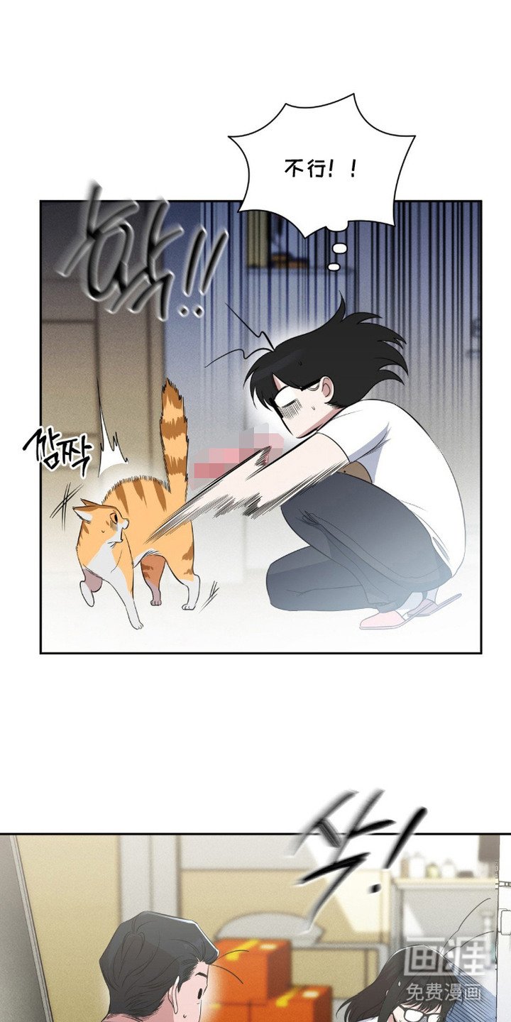 第11章：换装