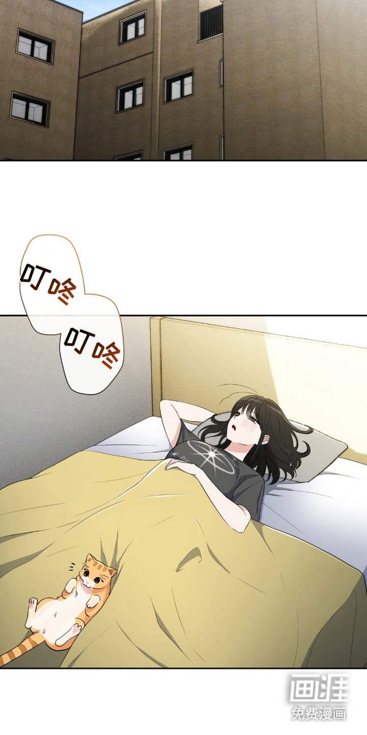 第14章：被迷上