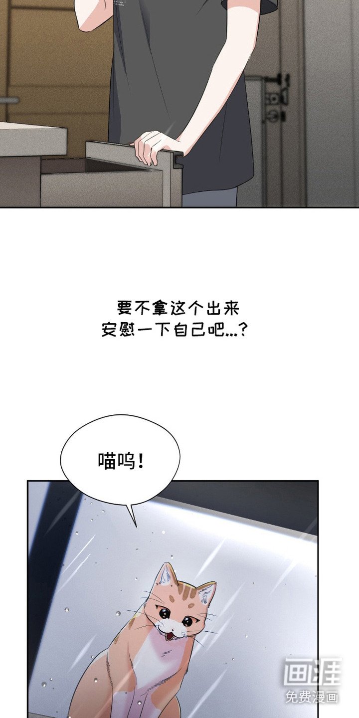 第16章：失魂落魄