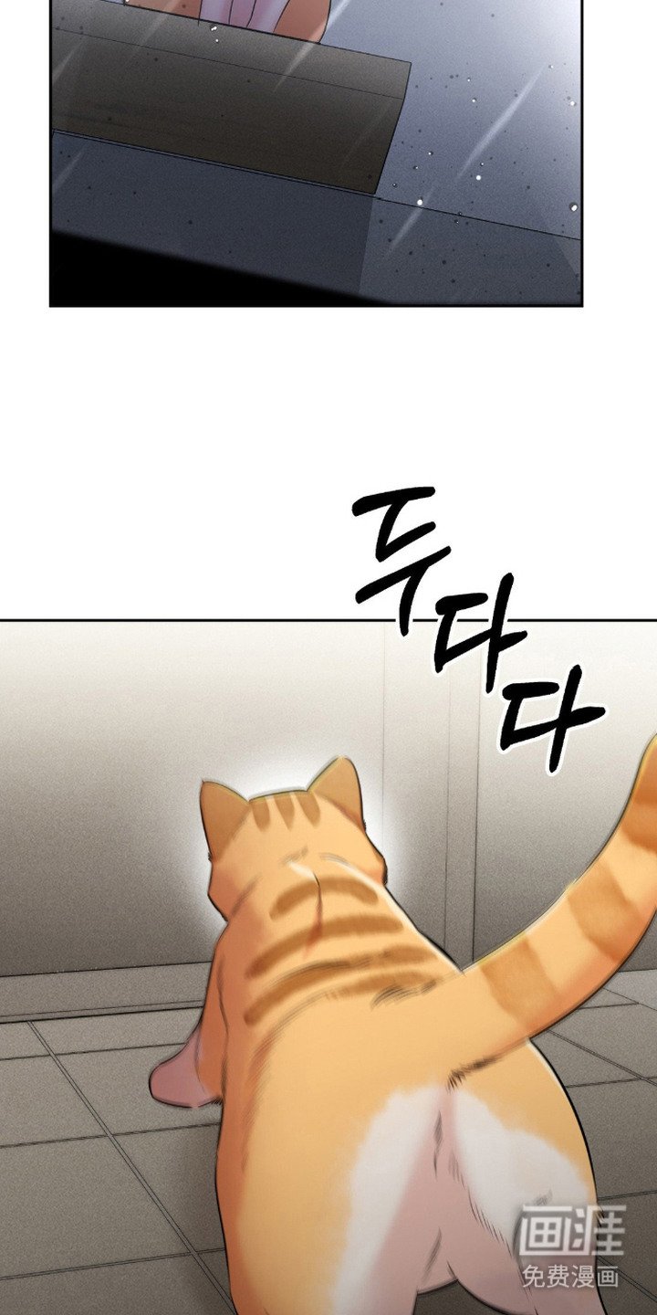 第16章：失魂落魄