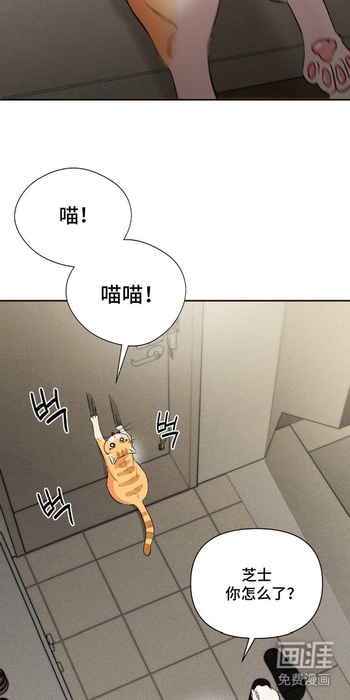 第16章：失魂落魄