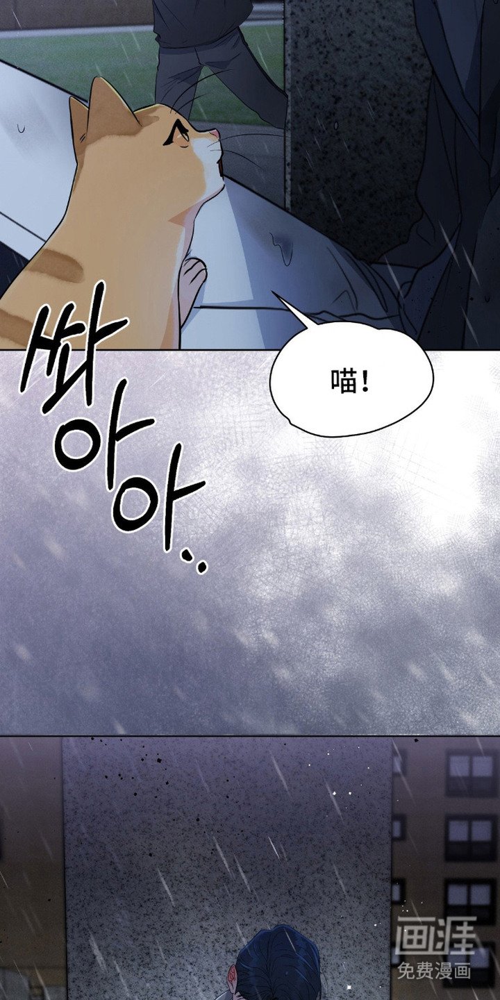 第16章：失魂落魄