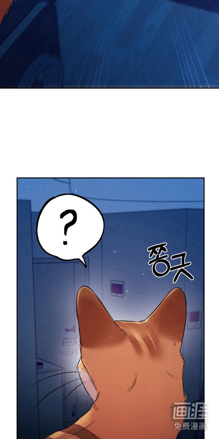 第19章：鼓起勇气