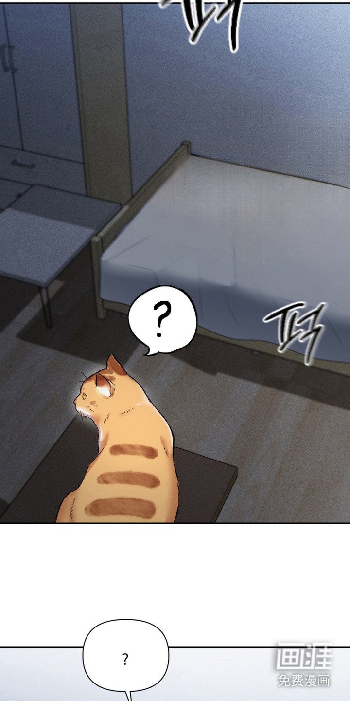 第20章：声音