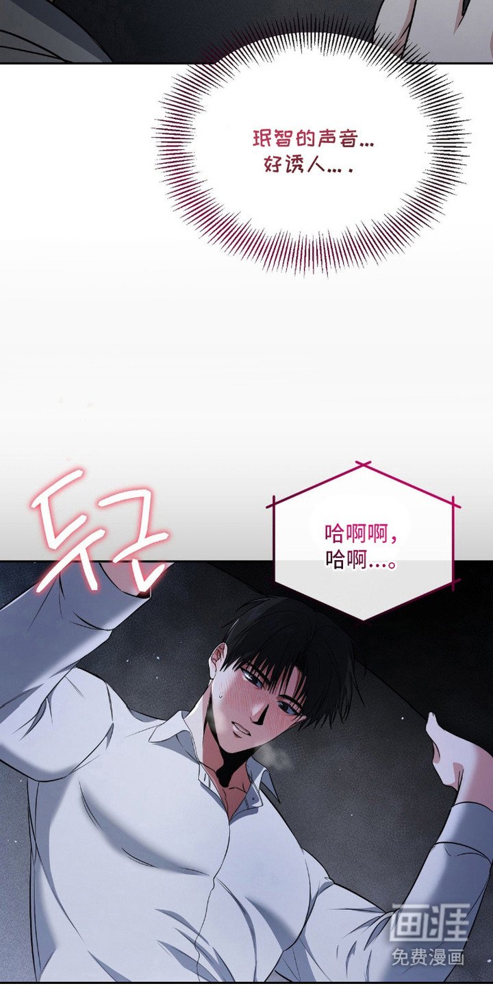第20章：声音
