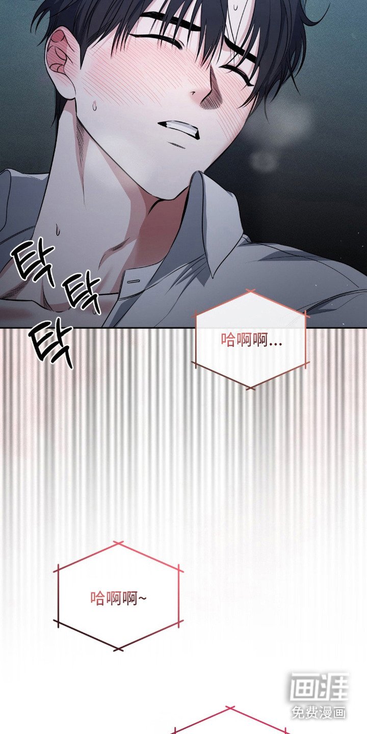 第20章：声音