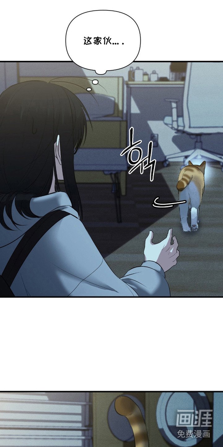 第6章：邻居朋友