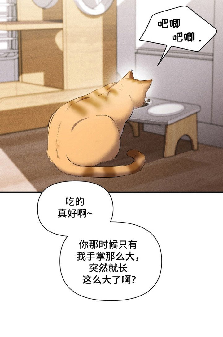 第6章：邻居朋友