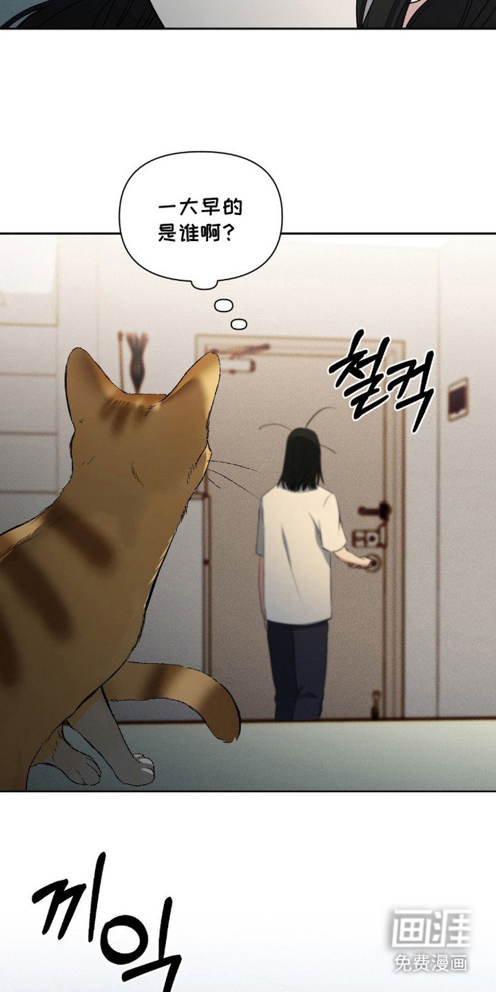 第8章：鸡皮疙瘩
