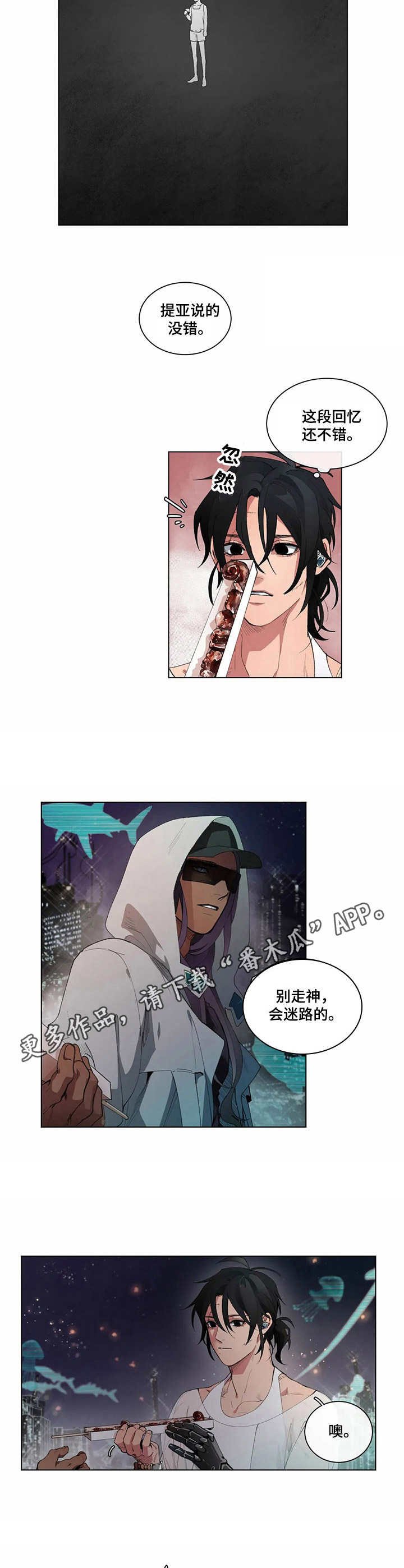 第5章：庆典